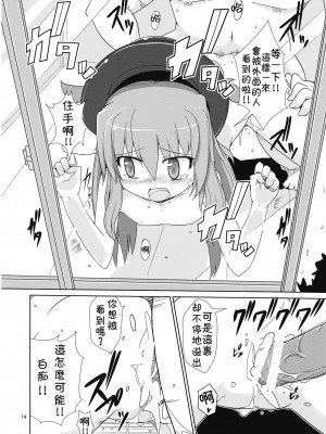 [萌の羽翼汉化组] (C76) [風道屋 (まもウィリアムズ)] Flash Back (東方Project)_14
