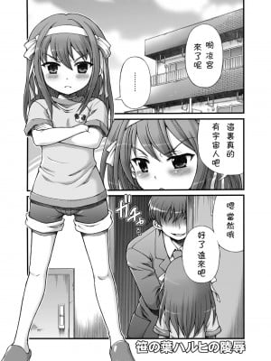 [萌の羽翼汉化组] (C78) [朧&天蓬元帥堂、真面目屋 (天蓬元帥、イサオ)] ハルヒミックス (涼宮ハルヒの憂鬱)_14