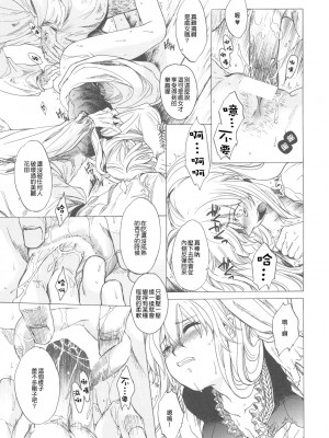 [Genesis漢化] (C78) [床子屋 (鬼頭えん)] Saint Foire Festival_0025