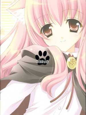 [绯色汉化组] (C72) [しぐにゃん (しぐにゃん)] 素直に好きって言いなさい! | 喜欢我就直说喵! (ゼロの使い魔)_26