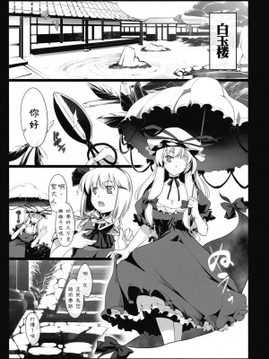 [喵玉汉化组] (C77) [しもやけ堂 (逢魔刻壱)] 胡蝶の舞 (東方Project)_06