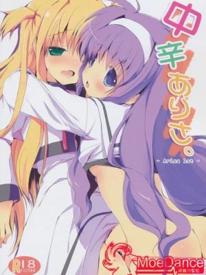 [萌舞の里组汉化] (C80) [みるこみ (PRIMIL)] 中辛ありさ。 (魔法少女リリカルなのは)