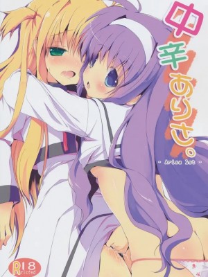 [萌舞の里组汉化] (C80) [みるこみ (PRIMIL)] 中辛ありさ。 (魔法少女リリカルなのは)_001