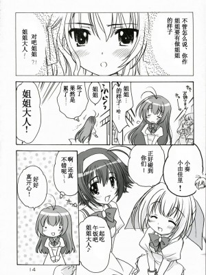 [N·L·S汉化组] (C72) [ぷりん横丁 (桜花すし)] エルダーにおねがい！ (処女はお姉さまに恋してる)_013