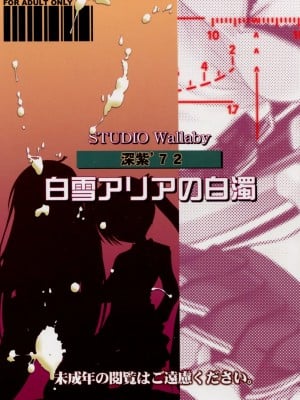[塔布里斯個人漢化] (C80) [スタジオ・ワラビー (深紫'72)] 白雪アリアの白濁 (緋弾のアリア)_24