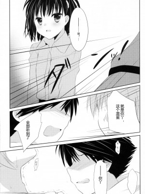 [ACG和谐区汉化] (C80) [組換DNA (水上暮菜)] From a Distance (プラナスガール)_28