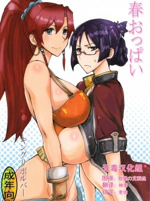 [无毒汉化组] (COMIC1☆7) [キングリボルバー (菊田高次)] 春おっぱい (翠星のガルガンティア)