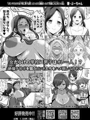 COMIC 真激 2024年6月号 [DL版]_323