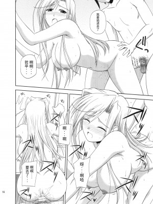 (C78) [G-SCAN CORP. (佐藤茶菓子)] Princess Pleasure! (プリンセスラバー!) [天使半机翻汉化]_15