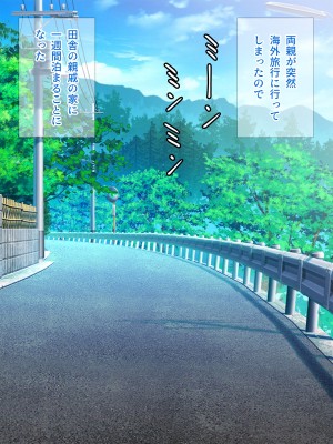 [Pixie Mint] 夏休みに田舎で従姉妹のお姉ちゃんと毎日ヤリまくり！_003