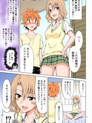 (C91) [ぶれいんでっど (Eiジ)] とらぶるMIX (To LOVEる ダークネス) [カラー化]_02