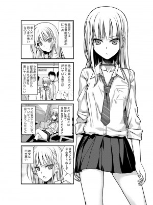 [40010壱号 (40010試作型)] KOGGIO [DL版]_03