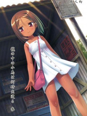 [ノラネコノタマ (雪野みなと)] 籠の中の小鳥は何時出遣るフルカラー 第0-3話+番外兩話 [中国翻訳]_P5_001