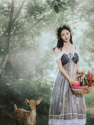 [年年] 爱丽丝仙境 Alice in Wonderland_32