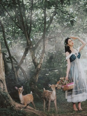 [年年] 爱丽丝仙境 Alice in Wonderland_33