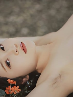 [年年] 爱丽丝仙境 Alice in Wonderland_46