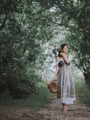 [年年] 爱丽丝仙境 Alice in Wonderland_31