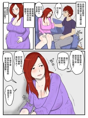 [poteto-chips] 妊娠したお母さんに軽蔑されながら大量中出ししている件 [中国翻訳]_008