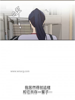 秘密教學 218-219話_219_06