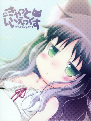 (C85) [きゃっといいえっくす (猫兎)] ねこぷにっ!vol.10 [CE家族社]_27