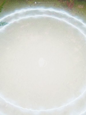 [听话的阿伟] 我的吸血鬼警察妈妈 05_00316