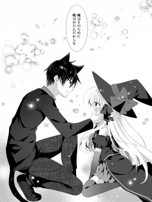 [たそもれら (泉水真琴)] ポンコツ魔女とイジワルな猫。-召喚した使い魔が言うことを聞いてくれません！-_15