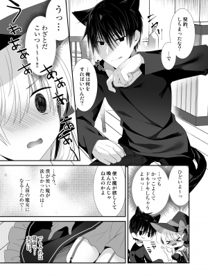 [たそもれら (泉水真琴)] ポンコツ魔女とイジワルな猫。-召喚した使い魔が言うことを聞いてくれません！-_12