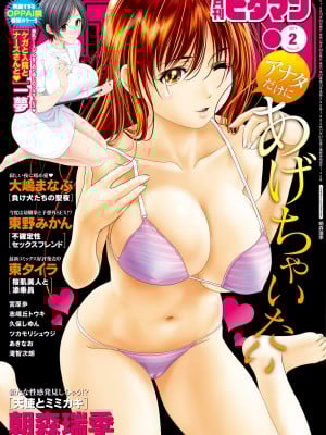 月刊 ビタマン 2017年2月号 [DL版]