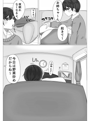 [まんぼう書店] 姉弟がめちゃくちゃセックスするお話_05