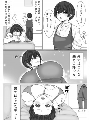 [まんぼう書店] 姉弟がめちゃくちゃセックスするお話_07
