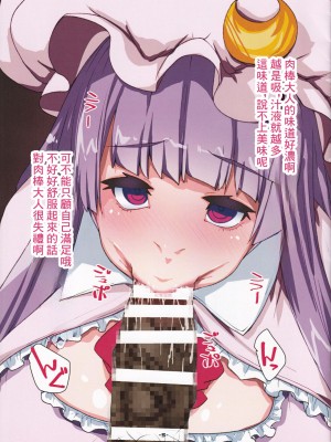 (C97) [H-net (HiRo)] パチュリードール (東方Project) [中国翻訳]_05