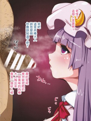 (C97) [H-net (HiRo)] パチュリードール (東方Project) [中国翻訳]_04