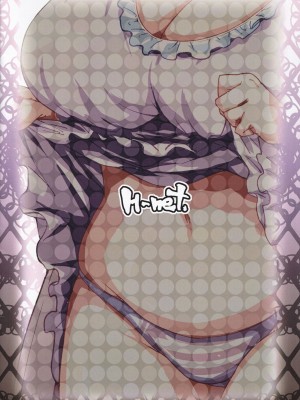 (C97) [H-net (HiRo)] パチュリードール (東方Project) [中国翻訳]_16
