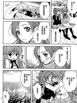 [倒在麦田吧汉化] (C83) [チェリームーン (圭島瞬里)] ときめきのプレリュード (スイートプリキュア♪)_29