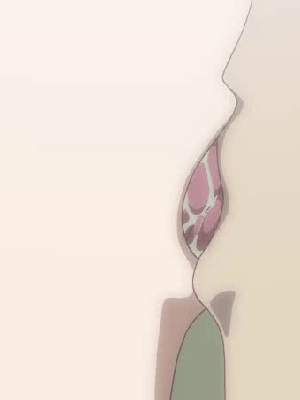 [オーバーフロー] School Days [無修正]_557_02_2S_T03_007