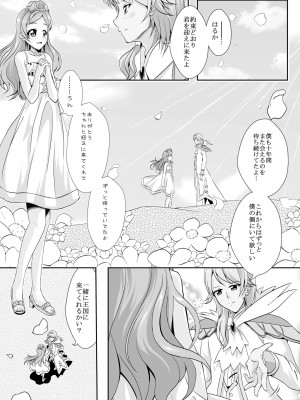 [MirrorWorld (未鏡)] 結婚前に君と過ごす夜 (Go!プリンセスプリキュア) [DL版]_05__5