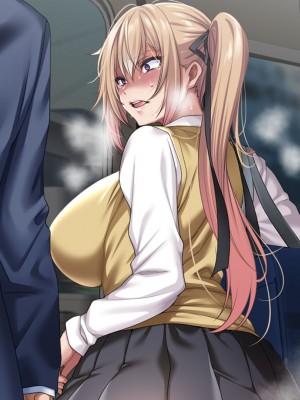 [アイチルワークス] 満員電車の中でおじさんが無理やり美少女を寝取ったりギャルを孕ませたりする話_610