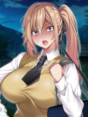 [アイチルワークス] 満員電車の中でおじさんが無理やり美少女を寝取ったりギャルを孕ませたりする話_872