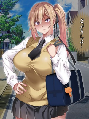 [アイチルワークス] 満員電車の中でおじさんが無理やり美少女を寝取ったりギャルを孕ませたりする話_126