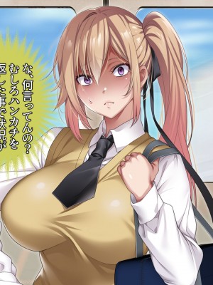 [アイチルワークス] 満員電車の中でおじさんが無理やり美少女を寝取ったりギャルを孕ませたりする話_338