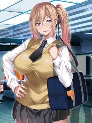 [アイチルワークス] 満員電車の中でおじさんが無理やり美少女を寝取ったりギャルを孕ませたりする話_767