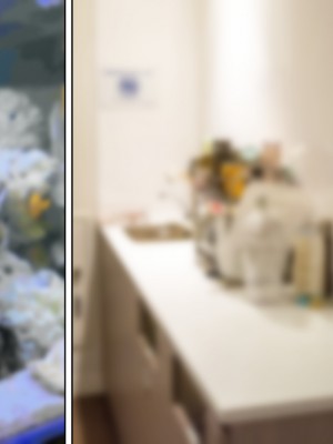 [アリマセカイ (ホルモン食堂)] 無口で地味巨乳な前髪お姉さんと所構わず生ハメSEXする仲になっていた。_448