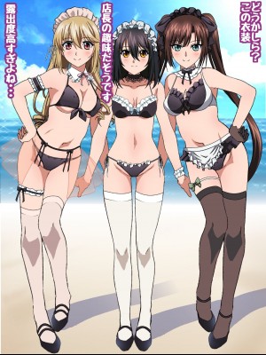 姫〇雪菜とラブラブHするCG集XXVII 真夏のビキニメイド編_006