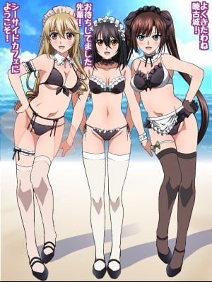 姫〇雪菜とラブラブHするCG集XXVII 真夏のビキニメイド編_005
