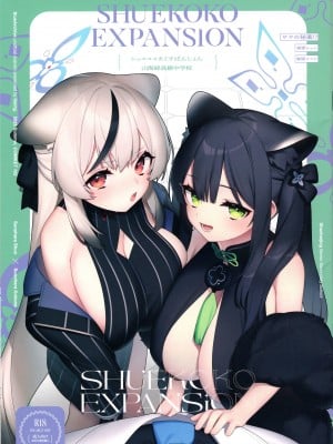 (C102) [很入骨 (へるんぐ)] Shuekoko Expansion (ブルーアーカイブ) [中国翻译]