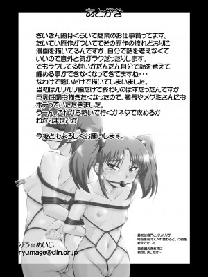 [蒙古猛烈破砕団 (りう☆めいじ)] ルリプラス (機動戦艦ナデシコ) [DL版] [中国翻訳]_24