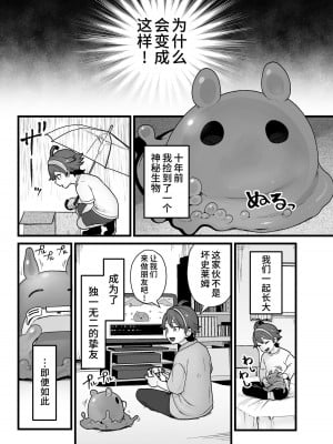 [キツネコパンダヌキ (パンダヌキ)] わるいスライムじゃないよ？ [中国翻訳]_03