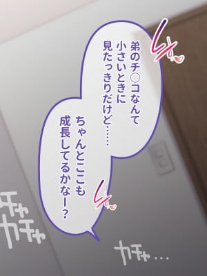 [ラミノネイリス] エロすぎる巨乳JKお姉ちゃんたちに俺の巨根チンポが肉バイブデビューした話〜JKチアガール三姉妹と毎日ハーレム孕ませセックス〜_003