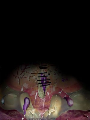[Hiro潶] 《~英霊百足蹂躙~万圣节护士篇》 『~英霊百足蹂躙~ハロウィンナース編』 [中国翻訳]_09