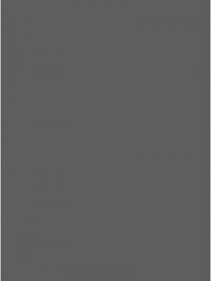 掠奪行動 1-9話_02_17